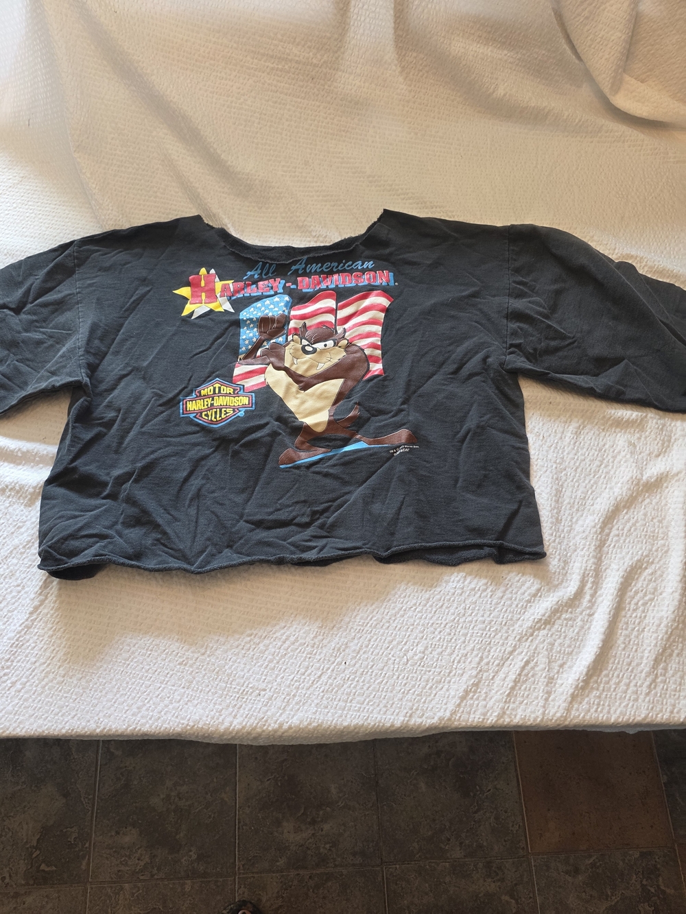 vintage 1990s (typically c. 1993) Harley-Davidson x Looney Tunes  Sweatshirt Xl